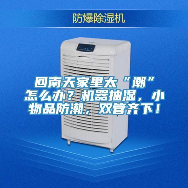 回南天家里太“潮”怎么辦？機器抽濕，小物品防潮，雙管齊下！