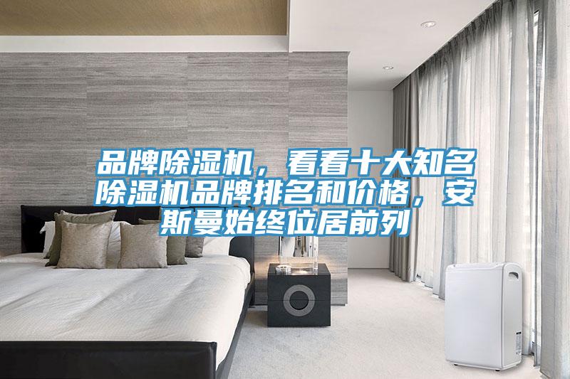 品牌除濕機，看看十大知名除濕機品牌排名和價格，安斯曼始終位居前列