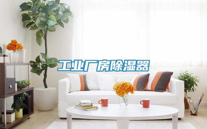 工業(yè)廠房除濕器