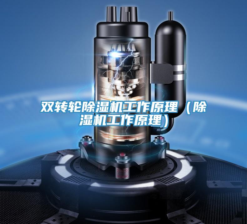 雙轉(zhuǎn)輪除濕機(jī)工作原理（除濕機(jī)工作原理）