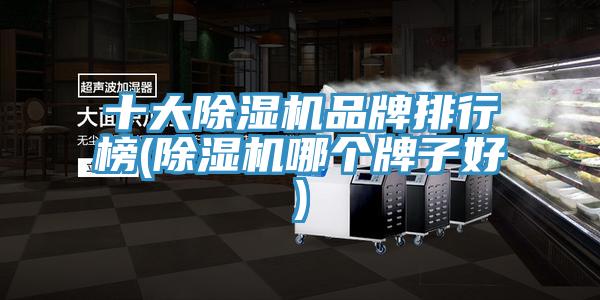 十大除濕機(jī)品牌排行榜(除濕機(jī)哪個牌子好)