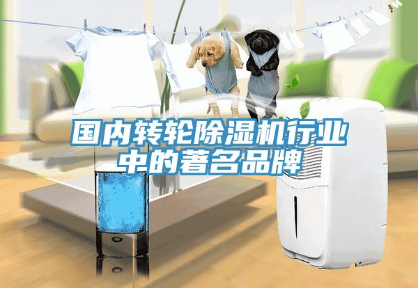 國(guó)內(nèi)轉(zhuǎn)輪除濕機(jī)行業(yè)中的著名品牌