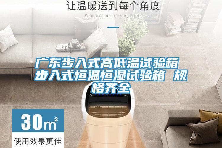 廣東步入式高低溫試驗箱 步入式恒溫恒濕試驗箱 規(guī)格齊全