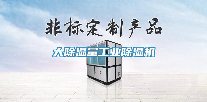 大除濕量工業(yè)除濕機(jī)