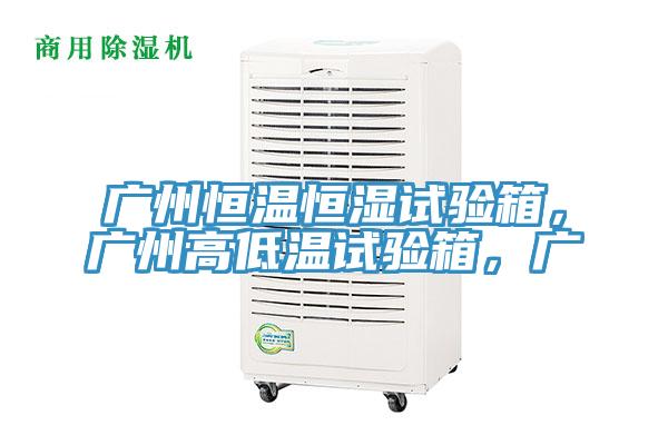 廣州恒溫恒濕試驗箱，廣州高低溫試驗箱，廣