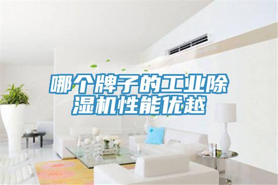 哪個(gè)牌子的工業(yè)除濕機(jī)性能優(yōu)越