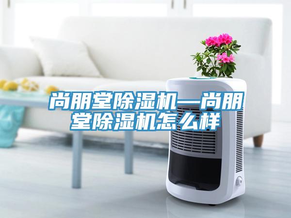 尚朋堂除濕機(jī)—尚朋堂除濕機(jī)怎么樣