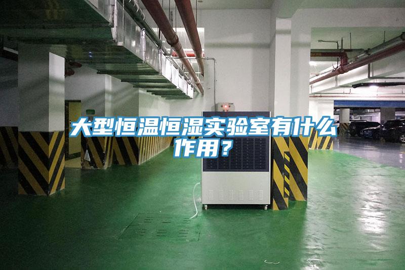大型恒溫恒濕實(shí)驗(yàn)室有什么作用？