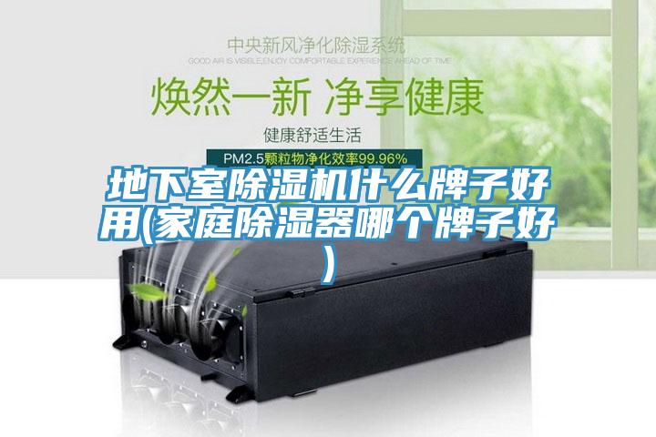地下室除濕機(jī)什么牌子好用(家庭除濕器哪個(gè)牌子好)