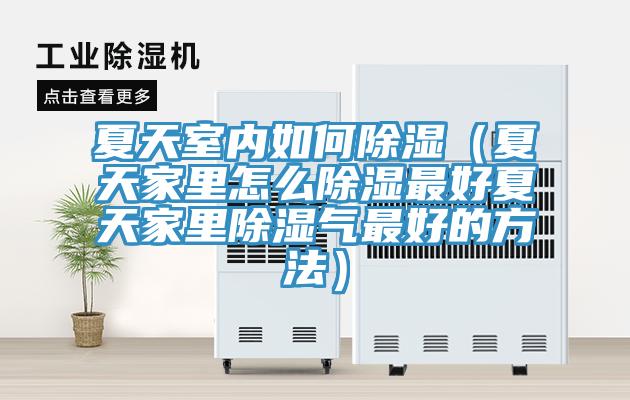 夏天室內如何除濕（夏天家里怎么除濕最好夏天家里除濕氣最好的方法）