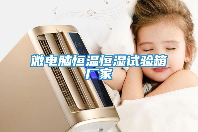 微電腦恒溫恒濕試驗(yàn)箱廠家