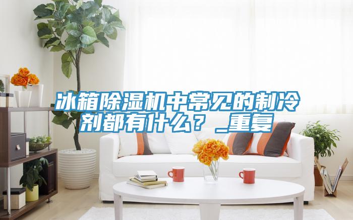 冰箱除濕機(jī)中常見的制冷劑都有什么？_重復(fù)