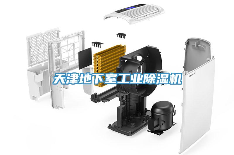 天津地下室工業(yè)除濕機(jī)