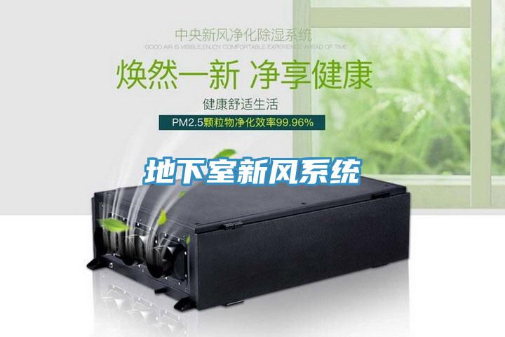 地下室新風(fēng)系統(tǒng)