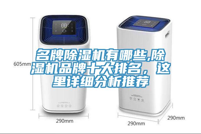 名牌除濕機有哪些,除濕機品牌十大排名，這里詳細分析推薦