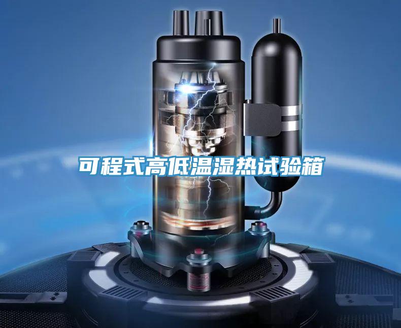 可程式高低溫濕熱試驗(yàn)箱
