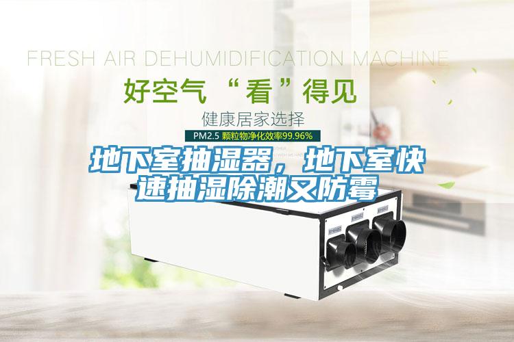 地下室抽濕器，地下室快速抽濕除潮又防霉