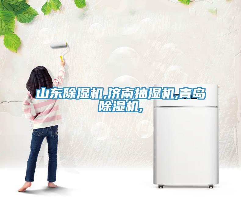 山東除濕機(jī),濟(jì)南抽濕機(jī),青島除濕機(jī),
