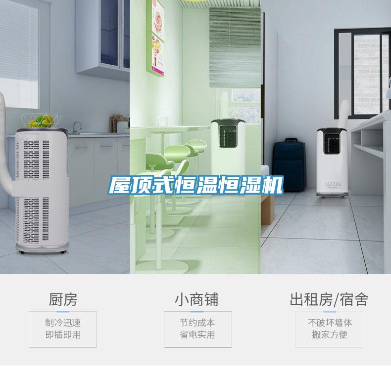 屋頂式恒溫恒濕機(jī)