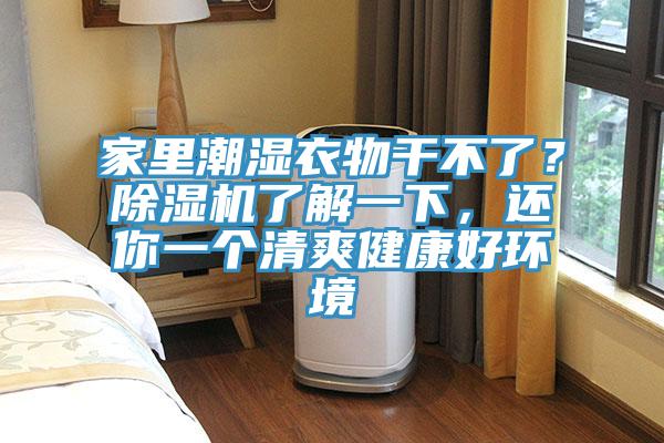 家里潮濕衣物干不了？除濕機(jī)了解一下，還你一個(gè)清爽健康好環(huán)境
