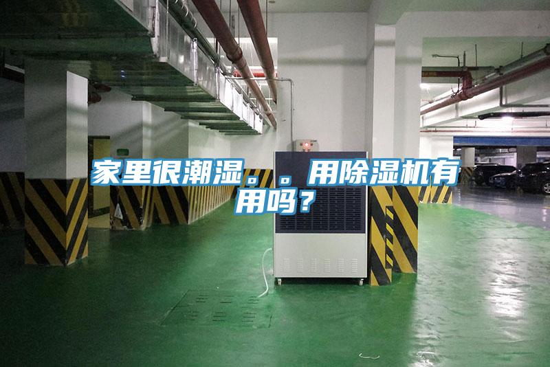 家里很潮濕。。用除濕機有用嗎？
