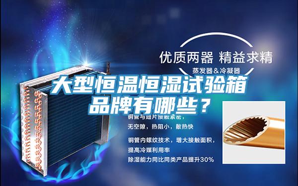 大型恒溫恒濕試驗(yàn)箱品牌有哪些？