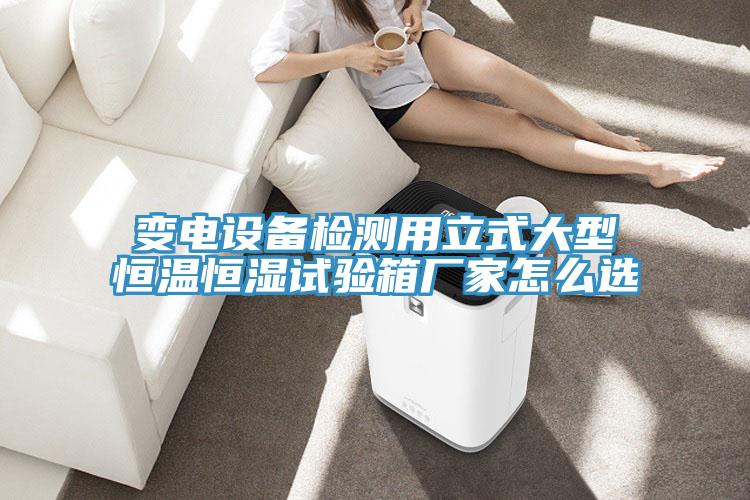 變電設(shè)備檢測用立式大型恒溫恒濕試驗箱廠家怎么選