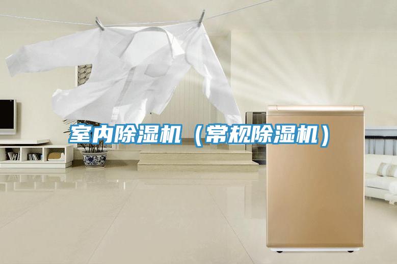 室內(nèi)除濕機(jī)（常規(guī)除濕機(jī)）