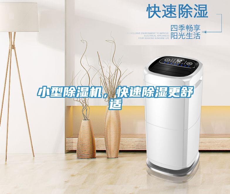小型除濕機，快速除濕更舒適