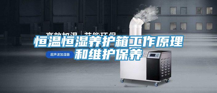恒溫恒濕養(yǎng)護箱工作原理和維護保養(yǎng)