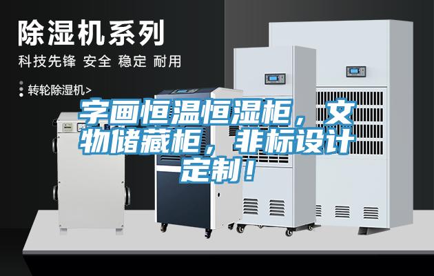 字畫恒溫恒濕柜，文物儲藏柜，非標設計定制！