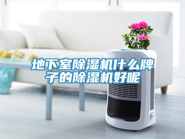 地下室除濕機(jī)什么牌子的除濕機(jī)好呢