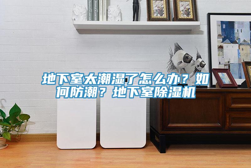 地下室太潮濕了怎么辦？如何防潮？地下室除濕機