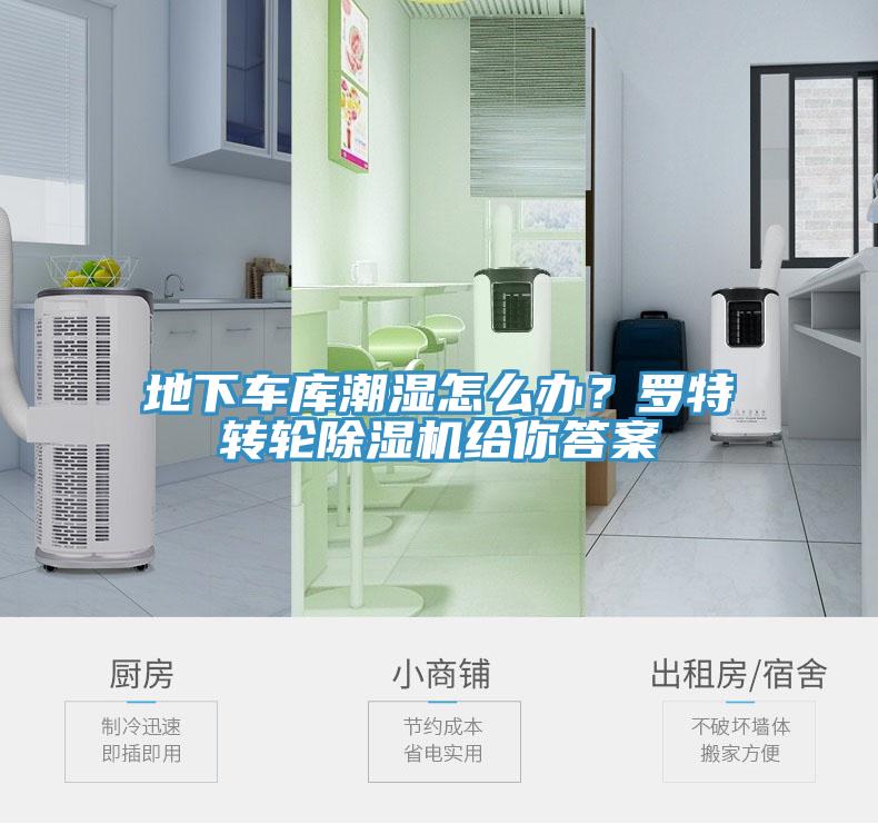 地下車(chē)庫(kù)潮濕怎么辦？羅特轉(zhuǎn)輪除濕機(jī)給你答案