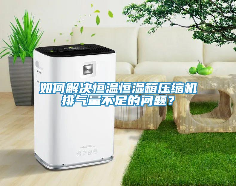 如何解決恒溫恒濕箱壓縮機排氣量不足的問題？