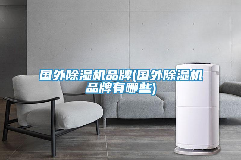 國(guó)外除濕機(jī)品牌(國(guó)外除濕機(jī)品牌有哪些)