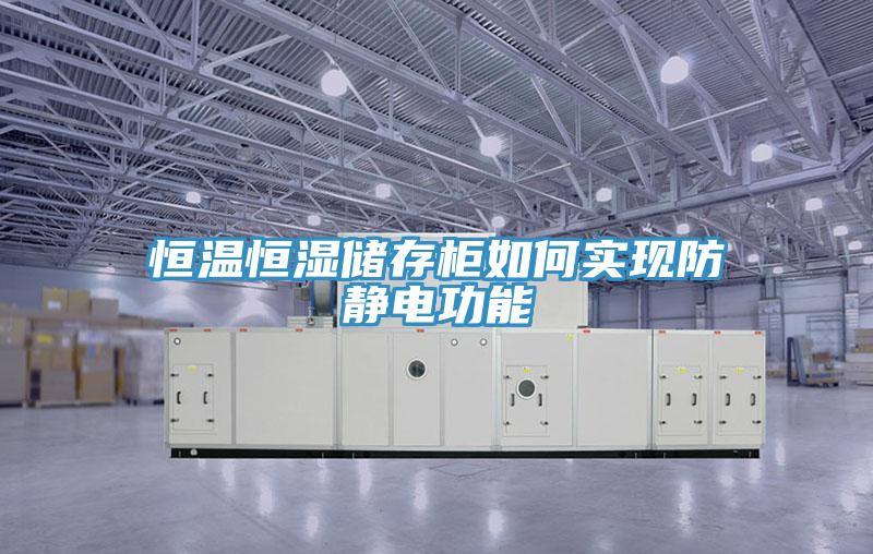 恒溫恒濕儲存柜如何實現(xiàn)防靜電功能