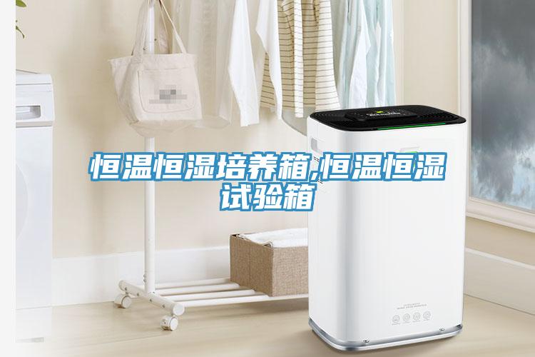恒溫恒濕培養(yǎng)箱,恒溫恒濕試驗箱