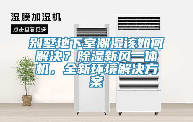 別墅地下室潮濕該如何解決？除濕新風(fēng)一體機(jī)，全新環(huán)境解決方案