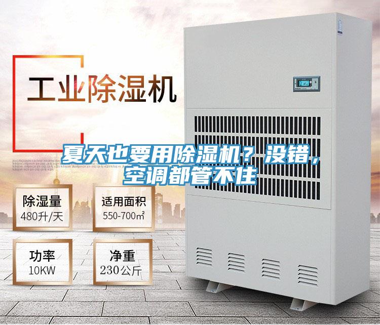 夏天也要用除濕機(jī)？沒錯(cuò)，空調(diào)都管不住