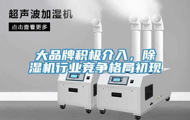 大品牌積極介入，除濕機(jī)行業(yè)競(jìng)爭(zhēng)格局初現(xiàn)