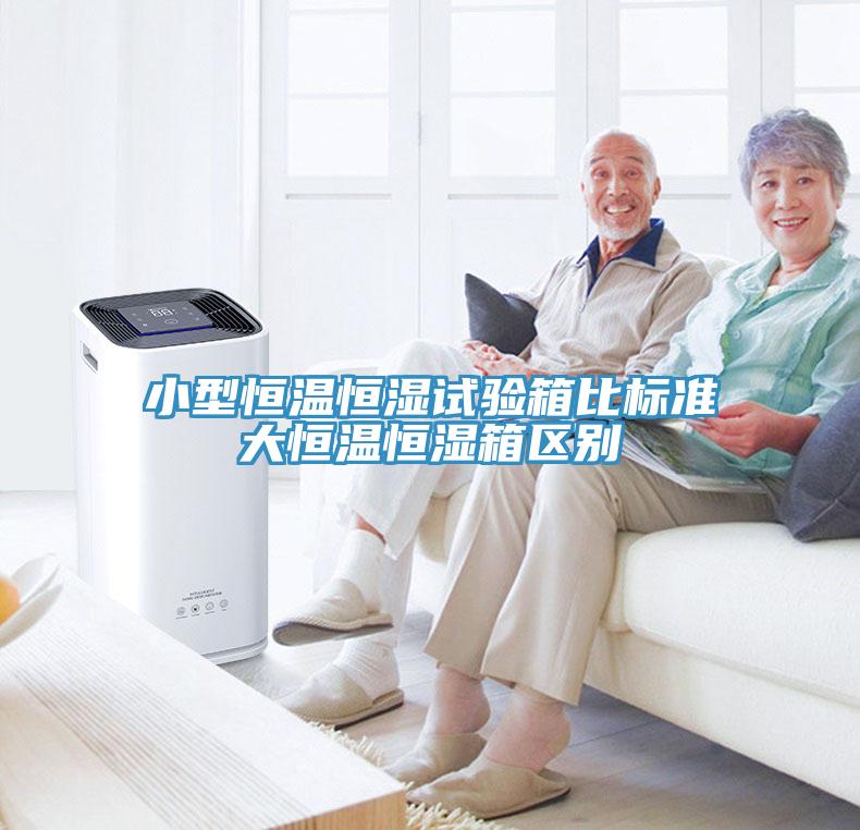 小型恒溫恒濕試驗箱比標準大恒溫恒濕箱區(qū)別