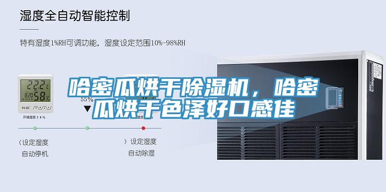 哈密瓜烘干除濕機，哈密瓜烘干色澤好口感佳