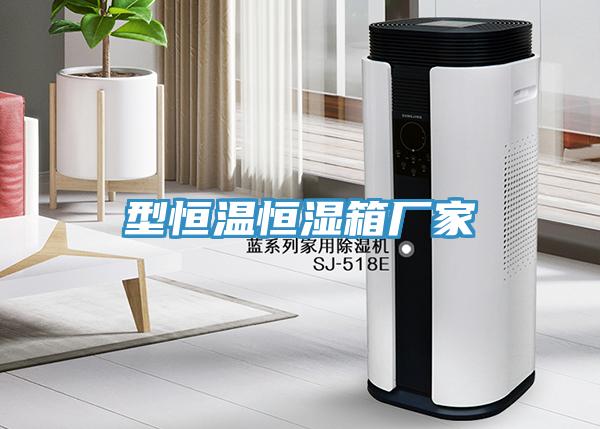 型恒溫恒濕箱廠家