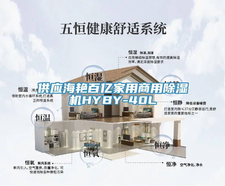 供應海艷百億家用商用除濕機HYBY-40L