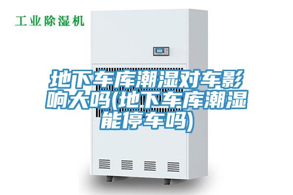 地下車庫(kù)潮濕對(duì)車影響大嗎(地下車庫(kù)潮濕能停車嗎)