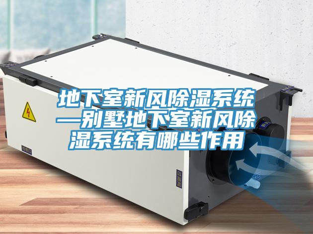 地下室新風(fēng)除濕系統(tǒng)—?jiǎng)e墅地下室新風(fēng)除濕系統(tǒng)有哪些作用