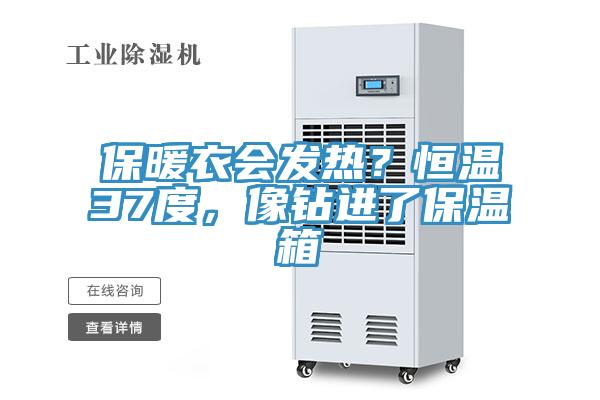 保暖衣會(huì)發(fā)熱？恒溫37度，像鉆進(jìn)了保溫箱