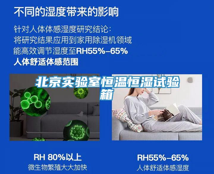 北京實(shí)驗(yàn)室恒溫恒濕試驗(yàn)箱