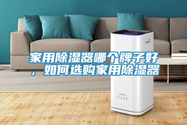 家用除濕器哪個(gè)牌子好，如何選購家用除濕器